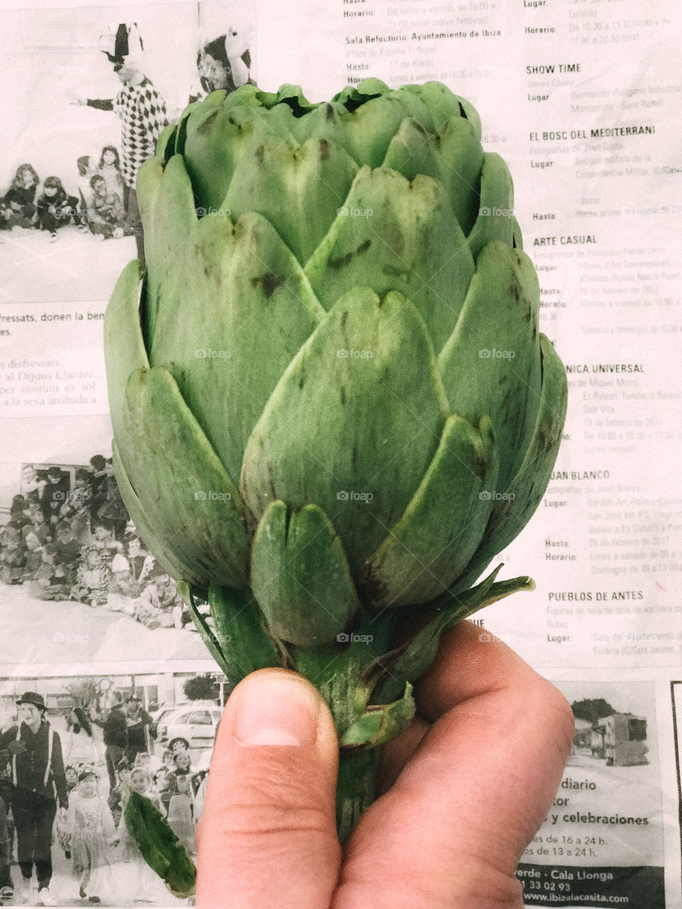 Hand holding artichokes 