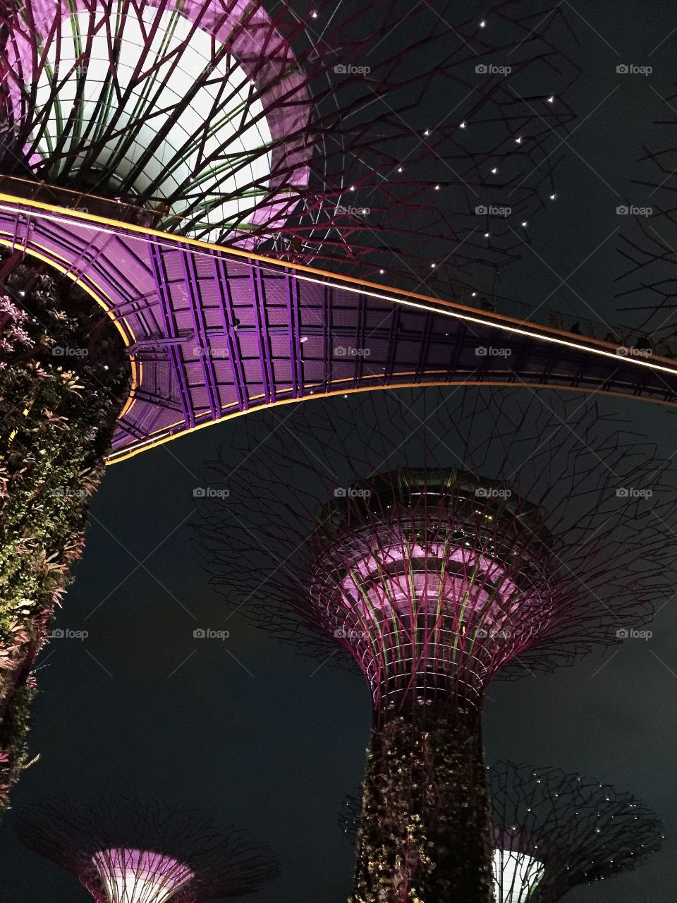 Gardens by the Bay