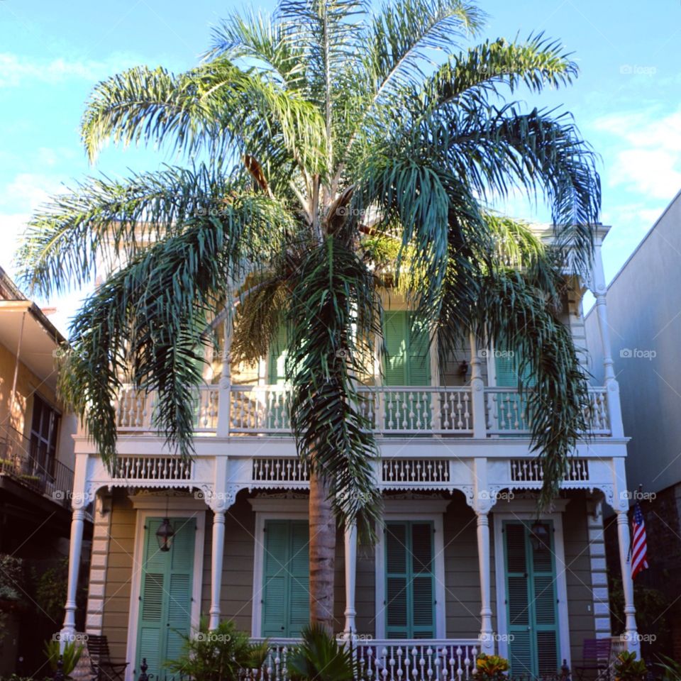 Palm, Architecture, Travel, Building, No Person