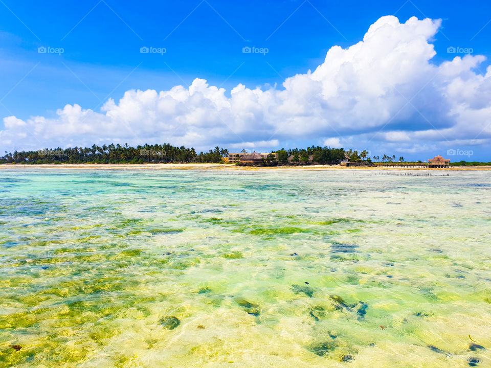 Shallow tropical ocean at Zanzibar Africa