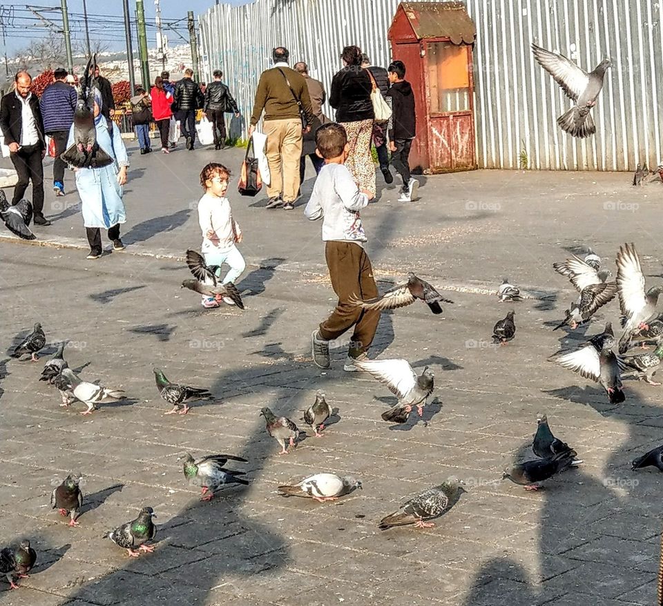 "Ha ha! many pegions!" children cried. two children were playing with many pegions in the market square, they were very happy, exciting and joyful.