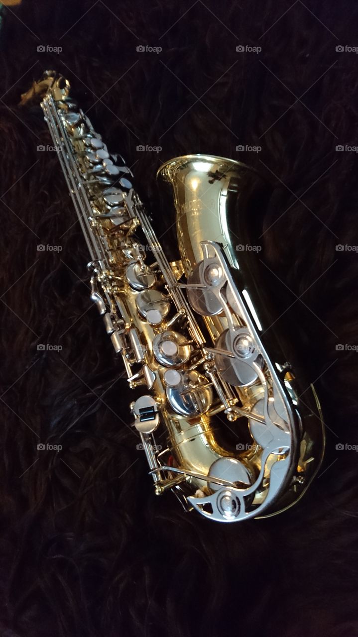 Saxophone 🎶