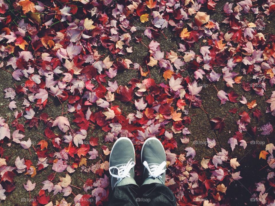 Feet Standing in Fall Leaves