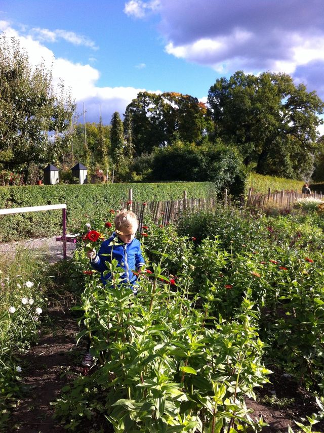Picking flowers