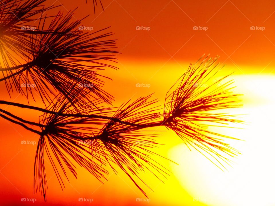 Beautiful sky and a beautiful sunset