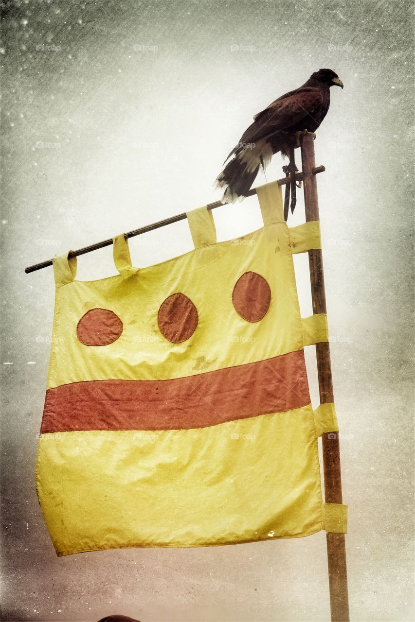 Medieval Banner. A bird of prey sitting on top of a medieval flag which was a sign of authority and power.