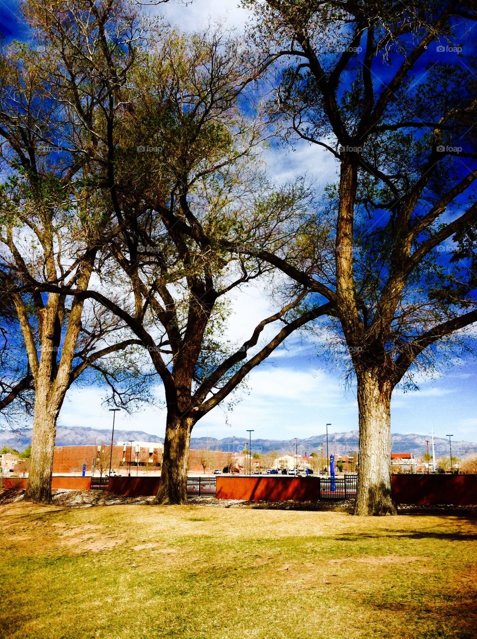 
Scenic view in New Mexico park