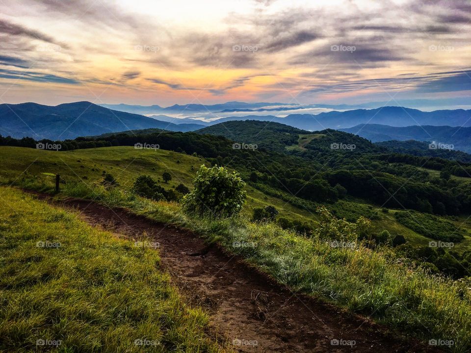 Appalachian trail leading to the Max Patch