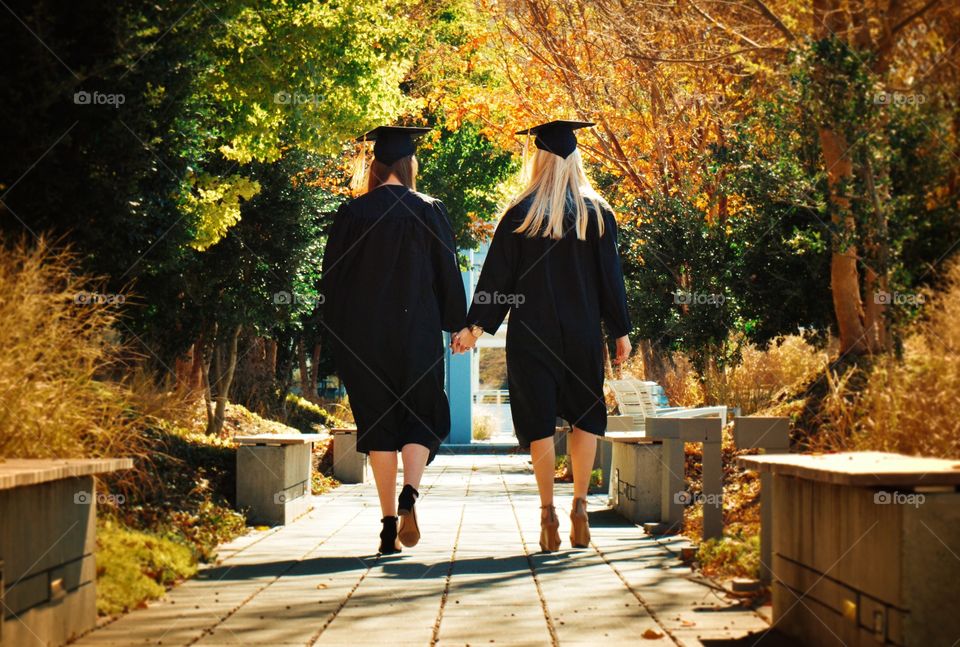 People, Adult, Tree, Man, Fall