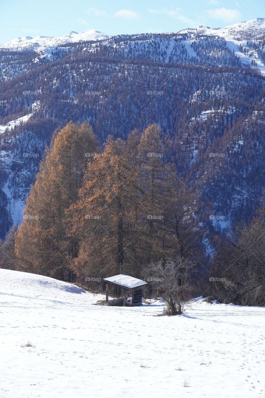 Mountains in the winter 