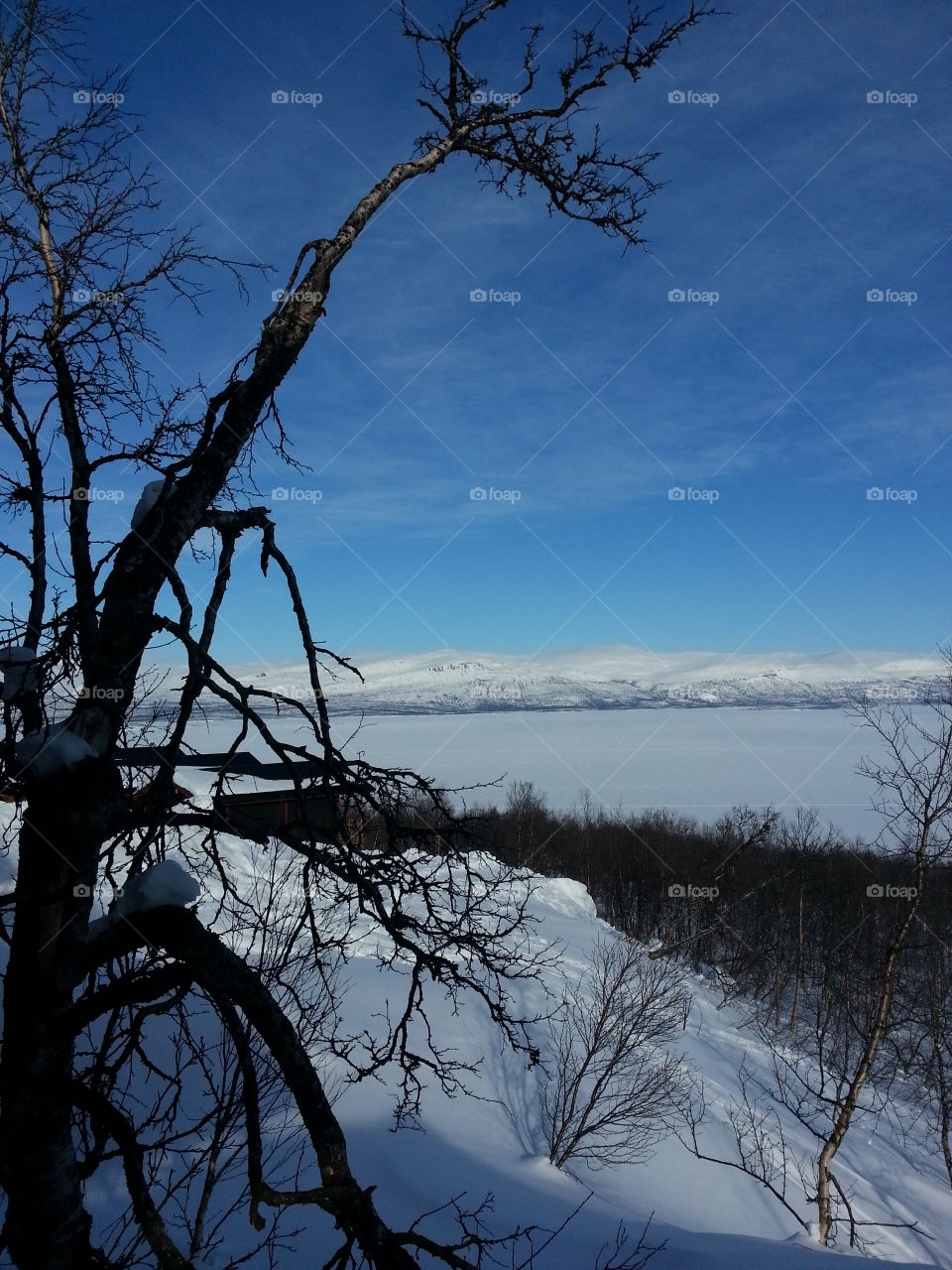 Winter wonderland. Skiing holiday in Lappland