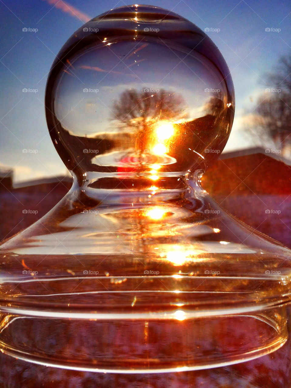 sky glass tree sun by cyrano