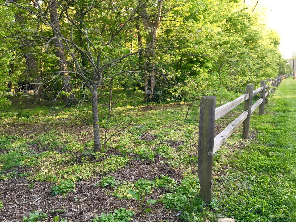 Wooden fence in woods