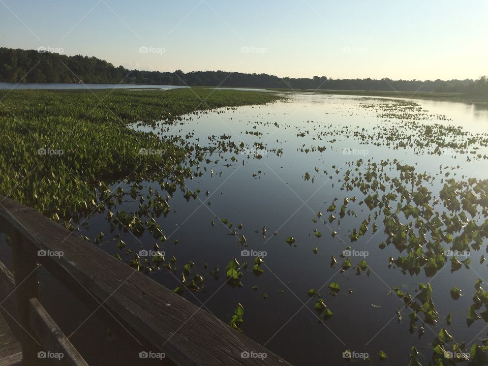 Water, Landscape, River, No Person, Lake