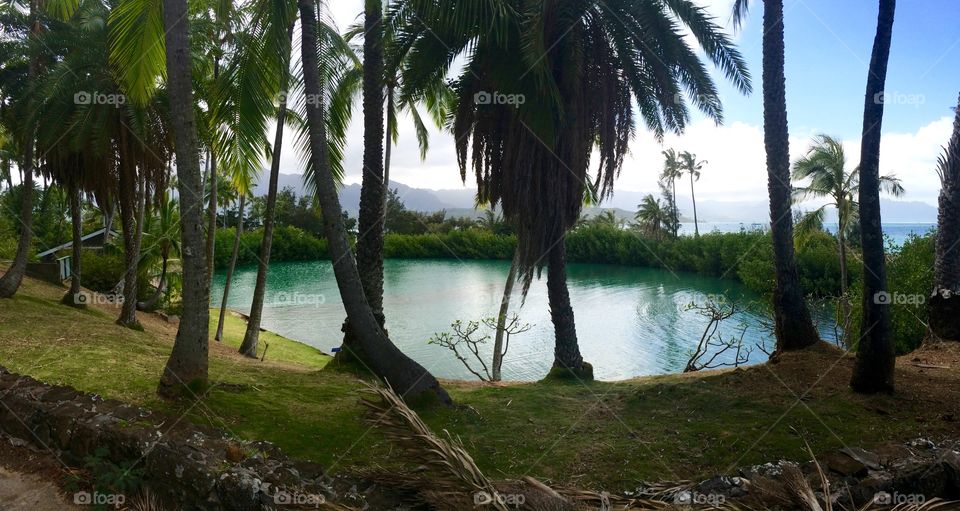 Private tropical lagoon on Coconut Island, HI; a place used to conduct marine research👩🏽‍🔬