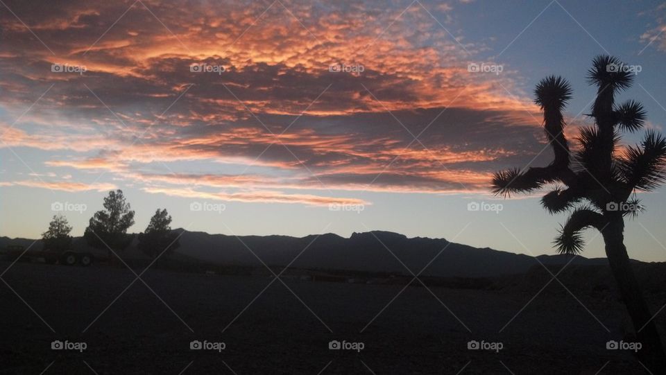 Nevada sunset 