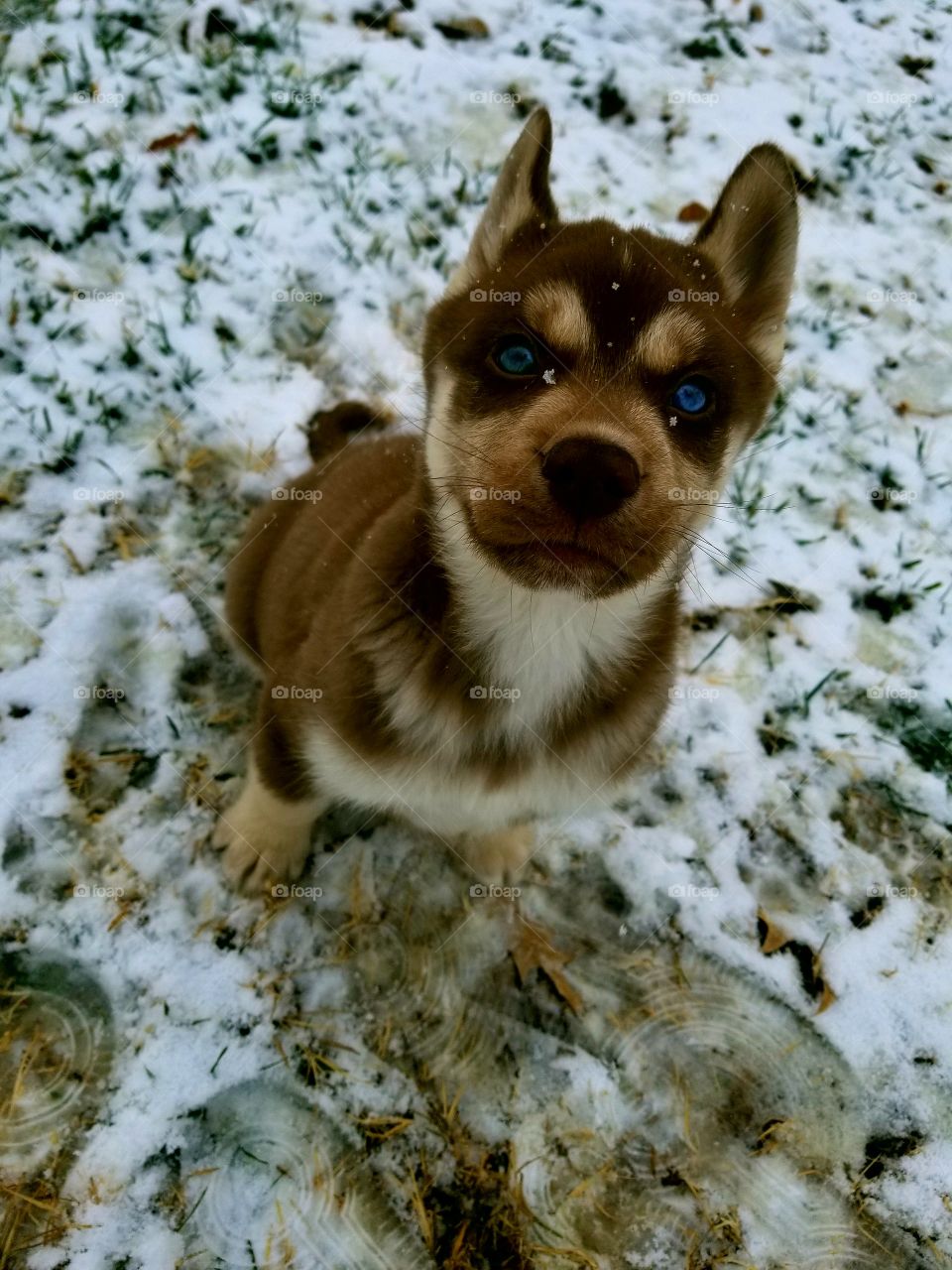 first snow day