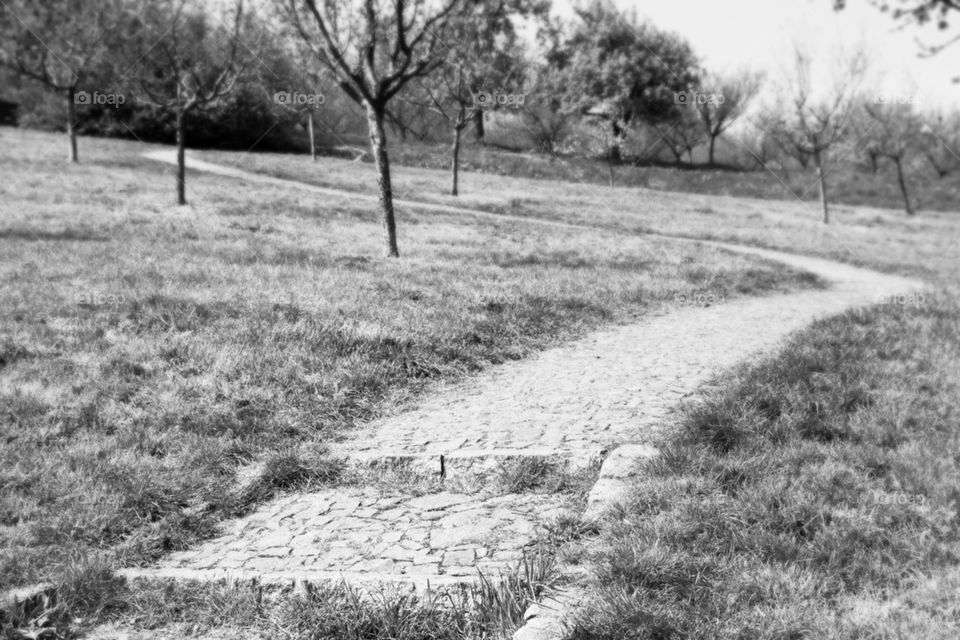 Black and white path