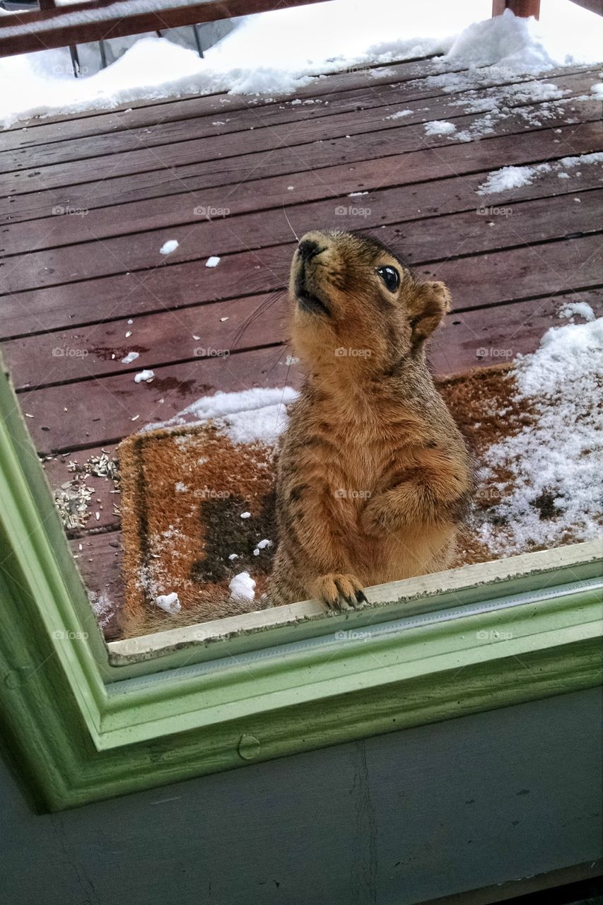 Are you going to open this door?