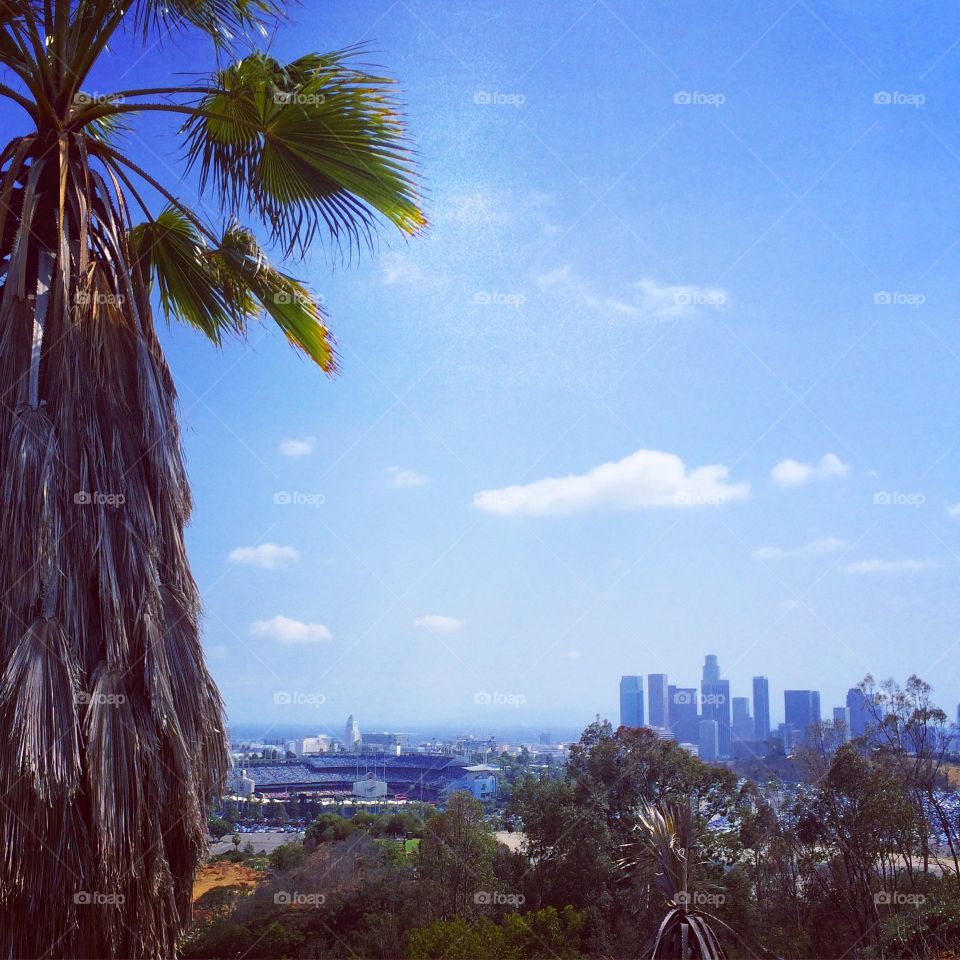 Los Angeles from Elysian Park