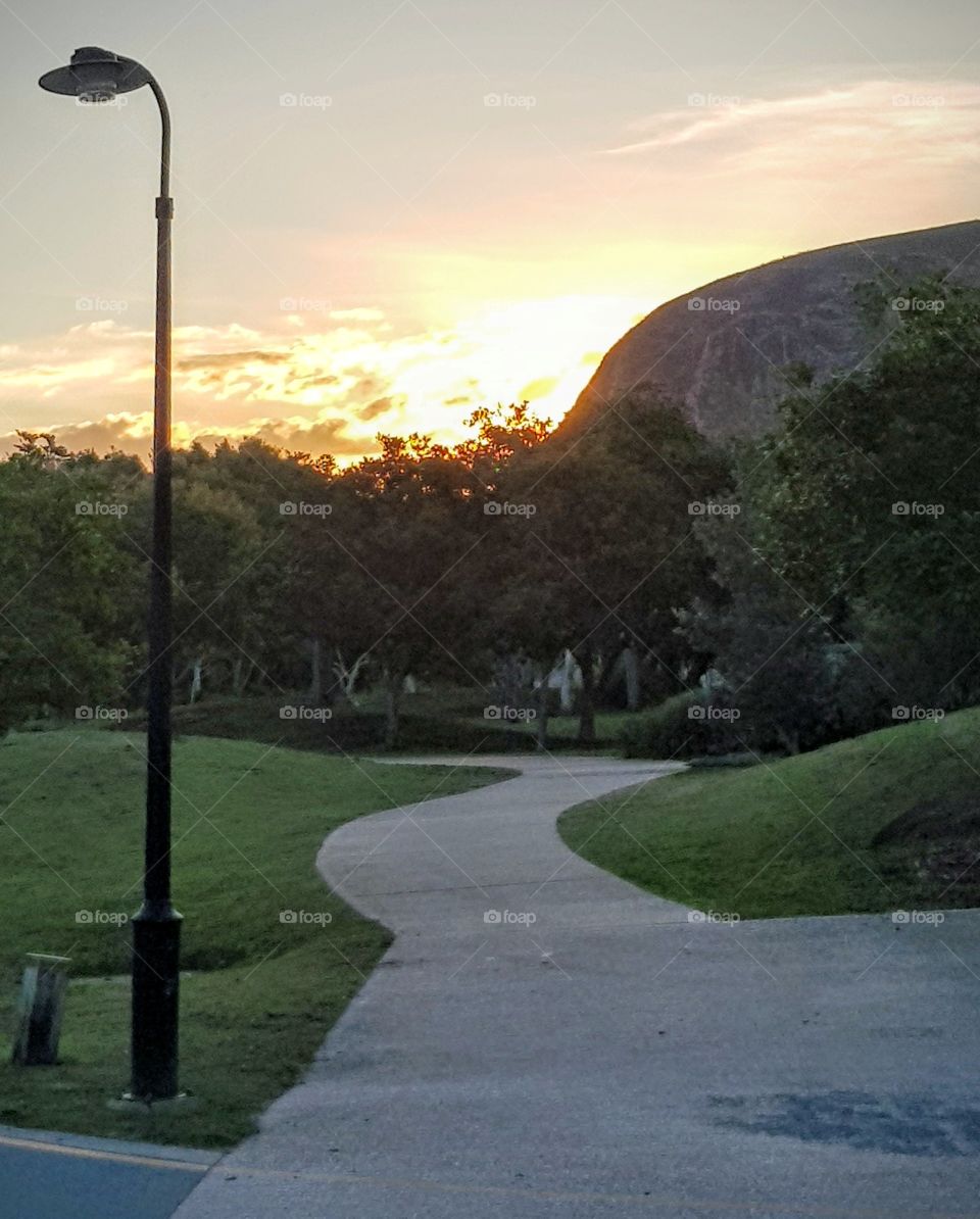 path to the boardwalk