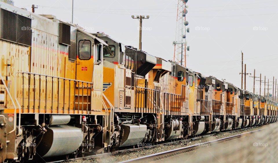 trains on the  track