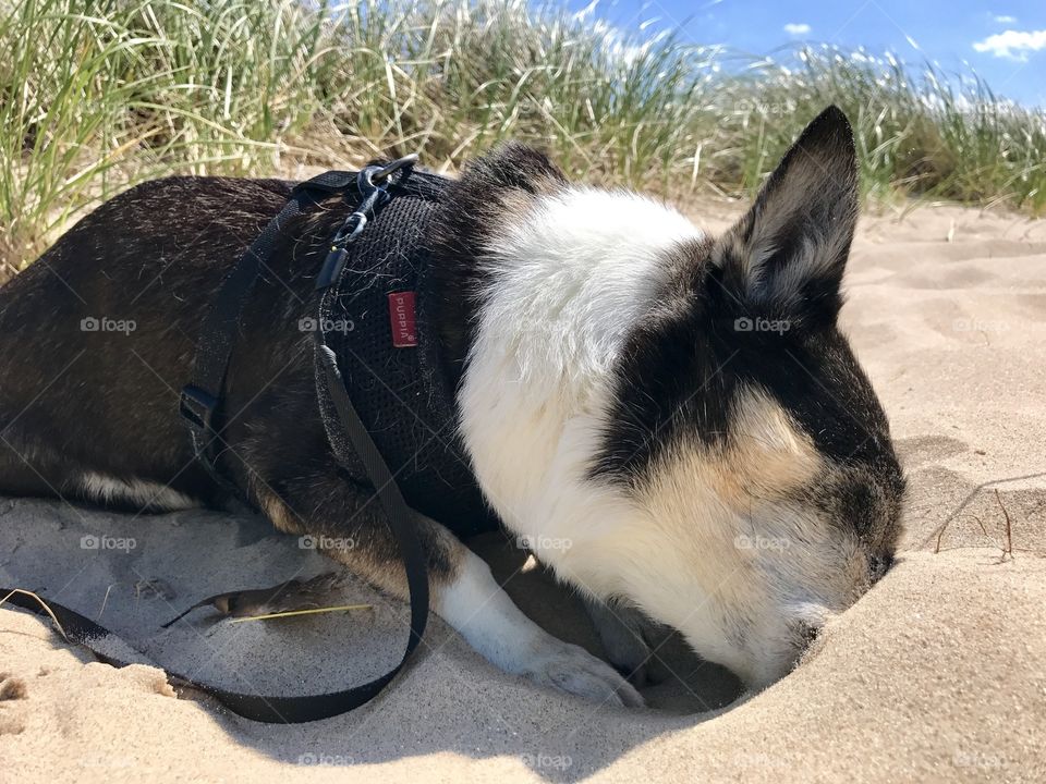 Playing on the beach 