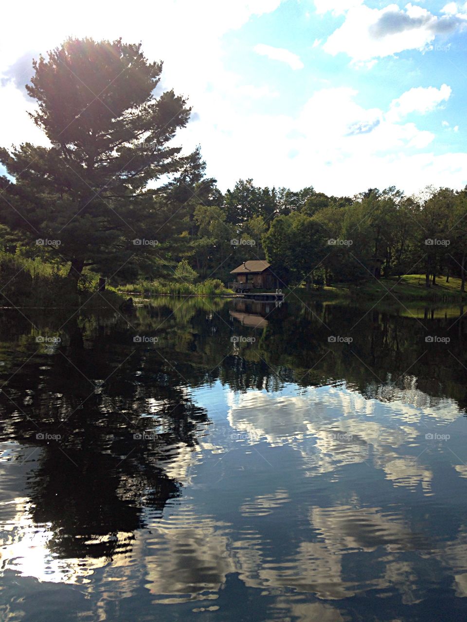 Summer pond. Neighbors pond in August
