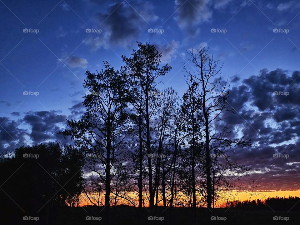 Beautiful sunsets over the Alberta prairies