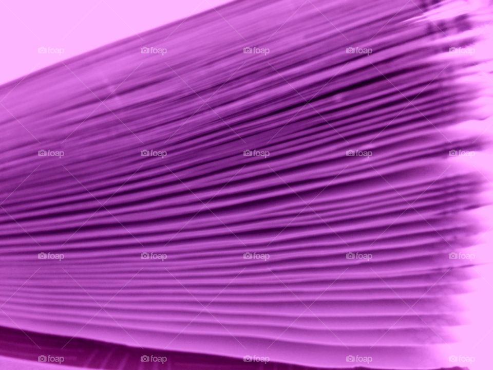 Close-up of purple papers