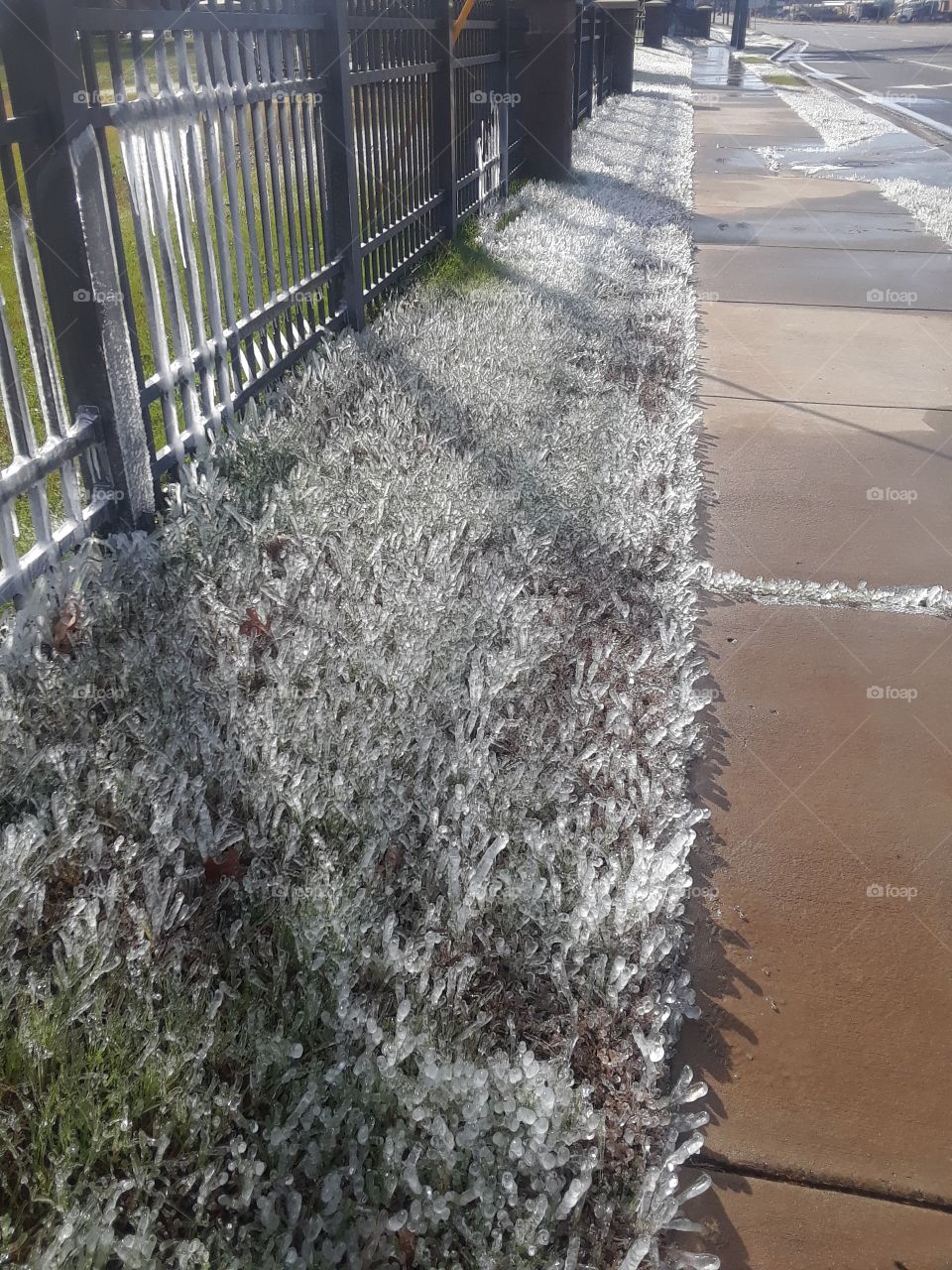 Sidewalk Ice