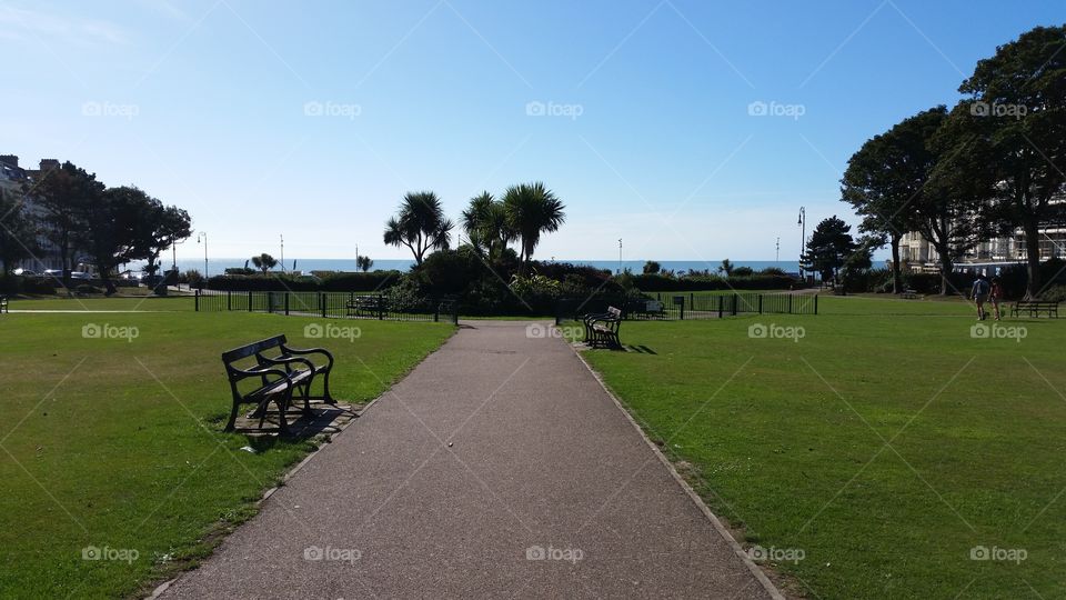 Grass, No Person, Tree, Landscape, Lawn