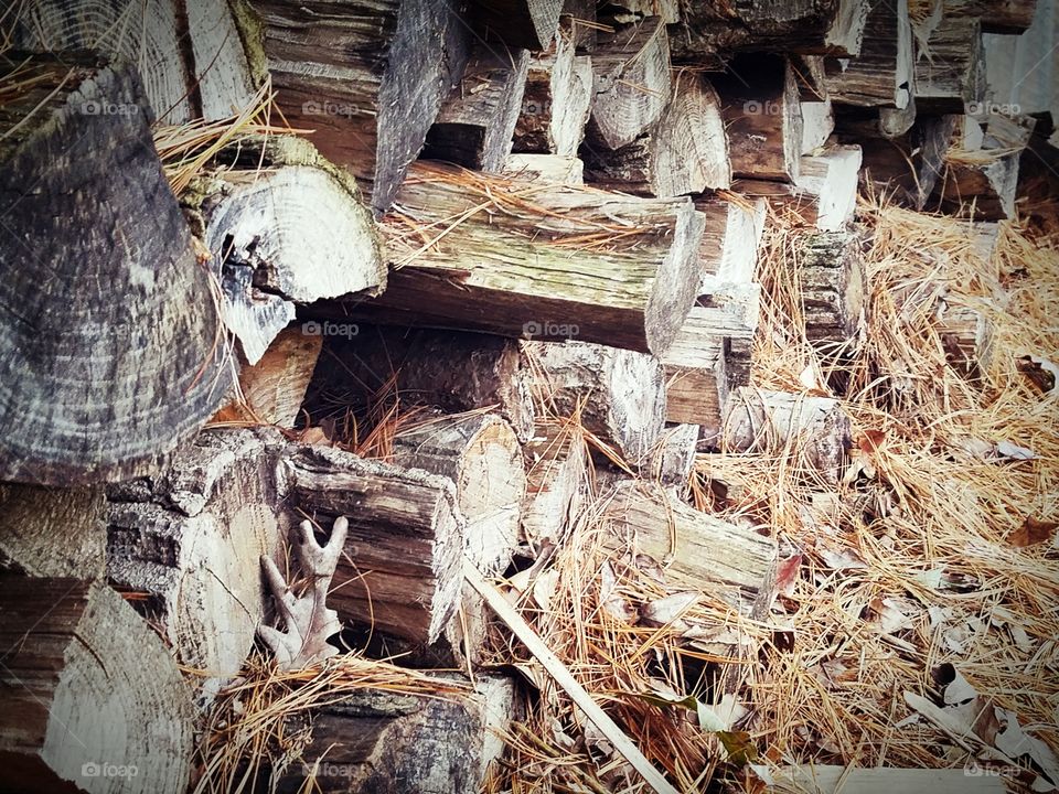 Wood pile