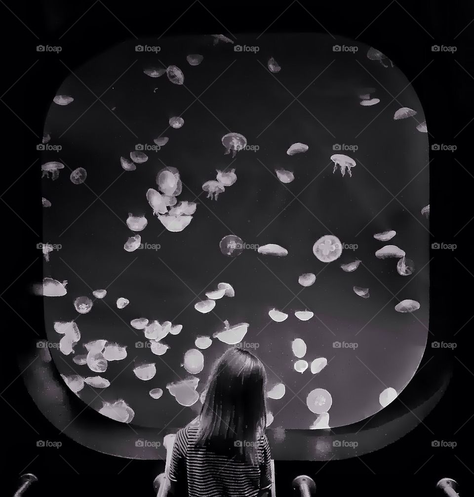 Aquarium gazing