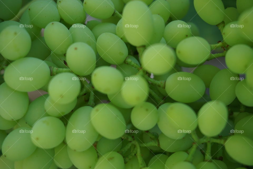 Green grape