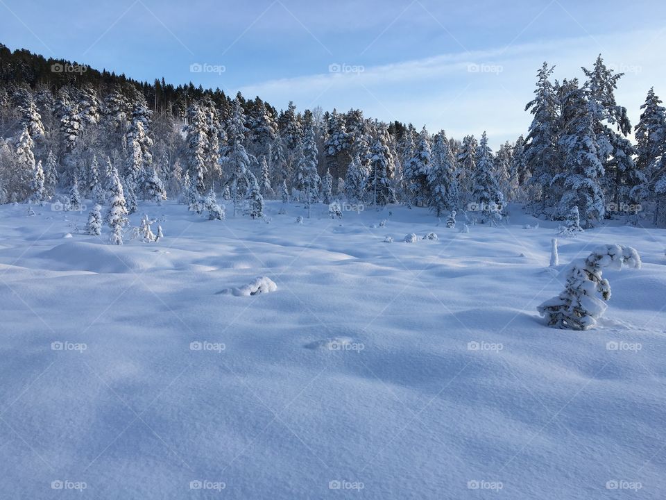 Norway 