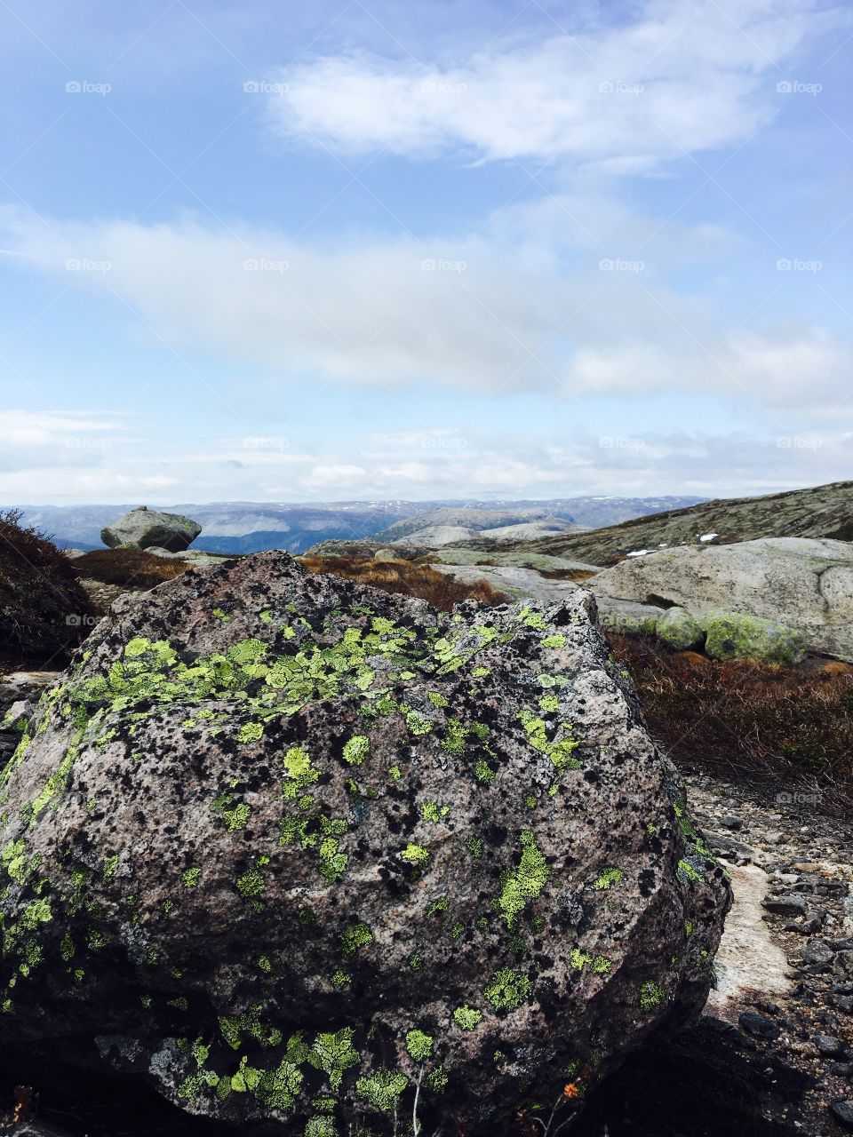 Green spot in the rock/ Knaben Norway