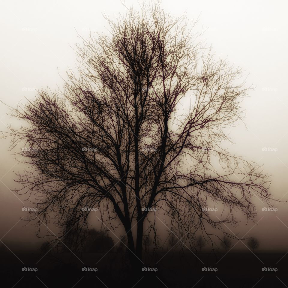 Solid and still standing...