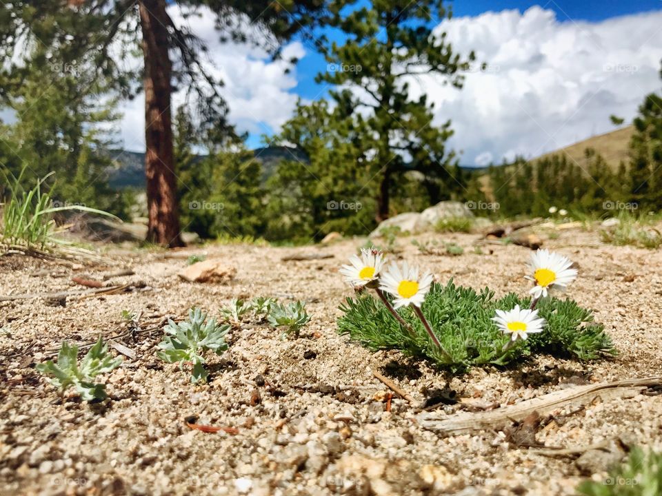 focus on the little things