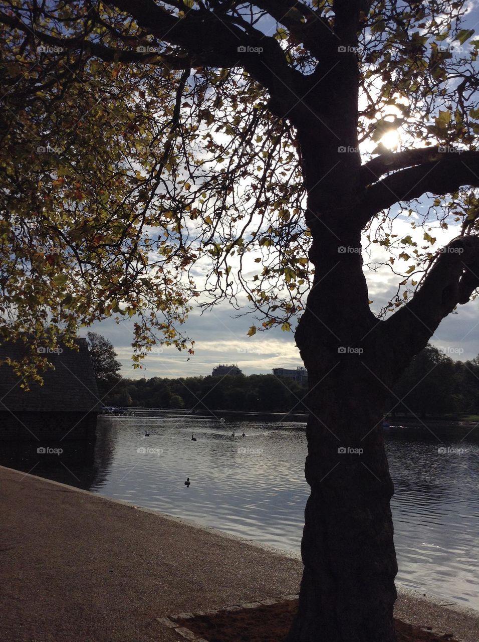 Beautiful landscape at Hyde park, London 