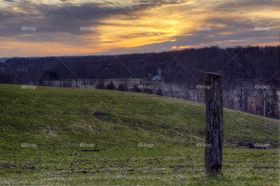 Fenced Off Countryside