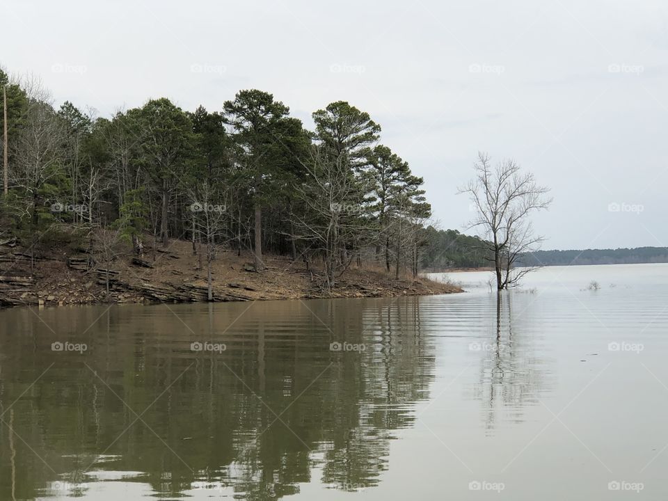 Reflection off the lake