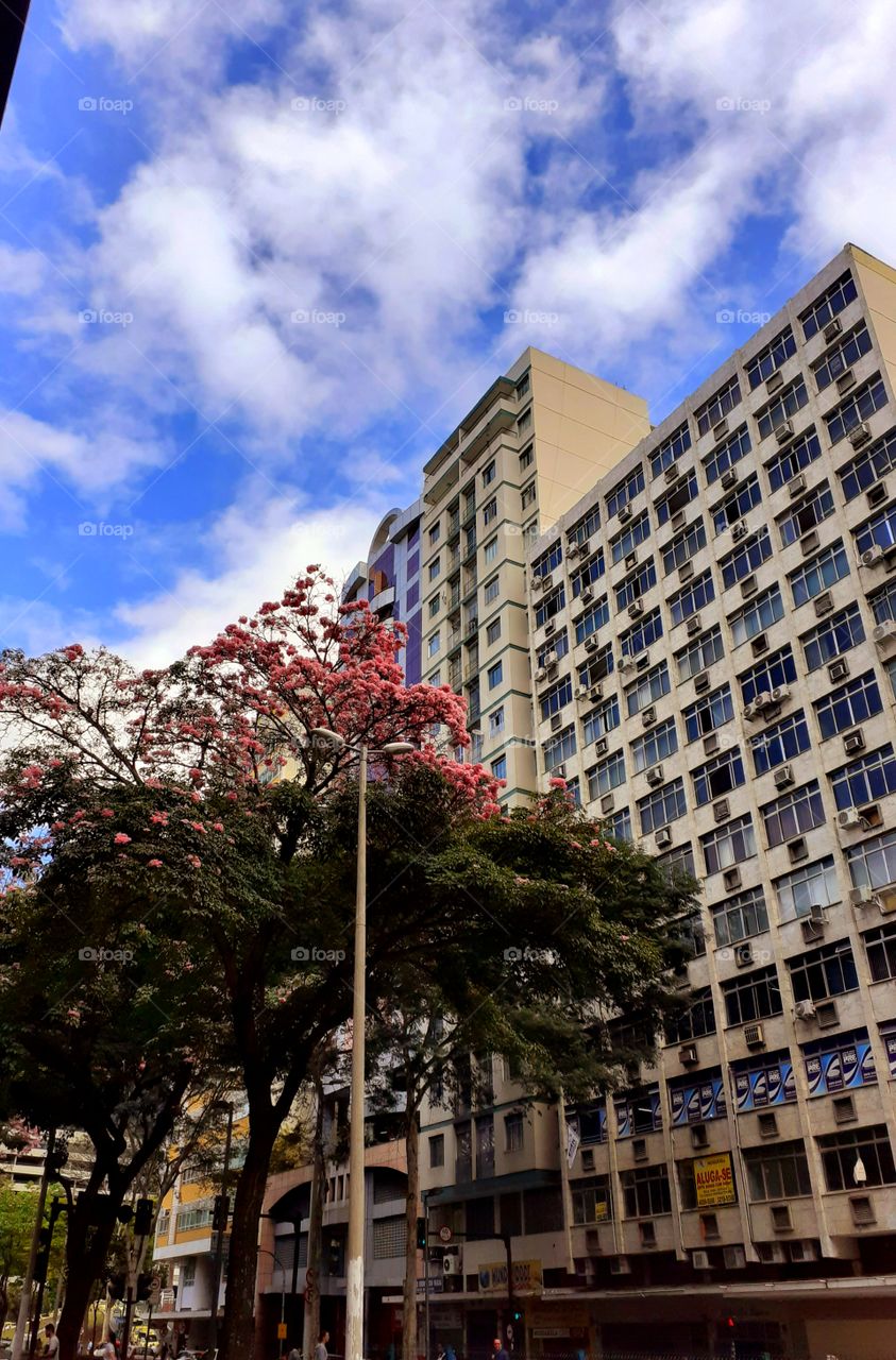 prédios cidade