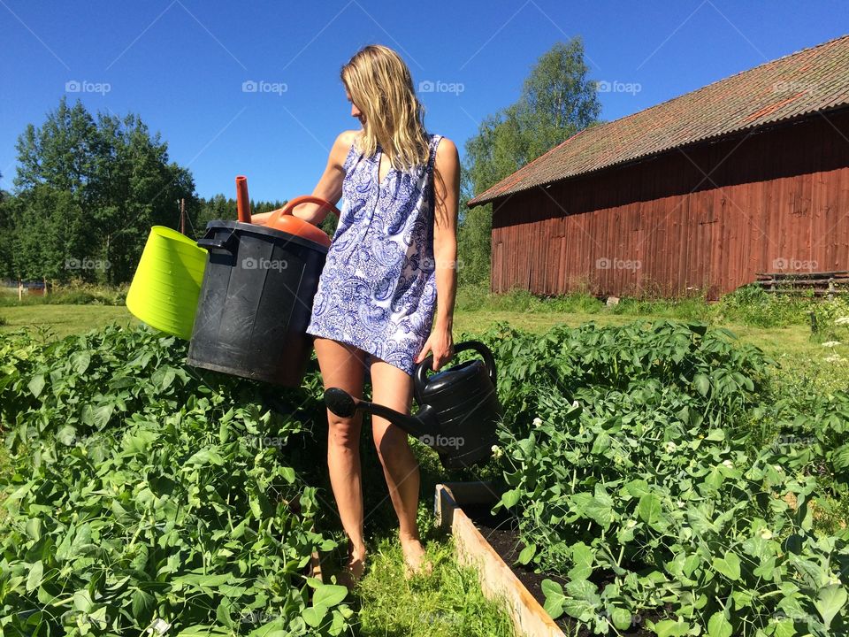 Woman growing and watering plants