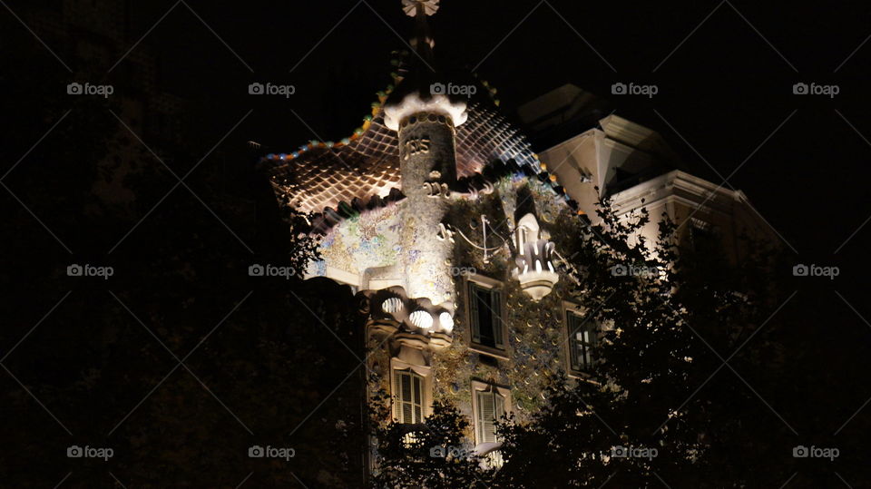 Casa Batllo. Detalle. Vista nocturna.