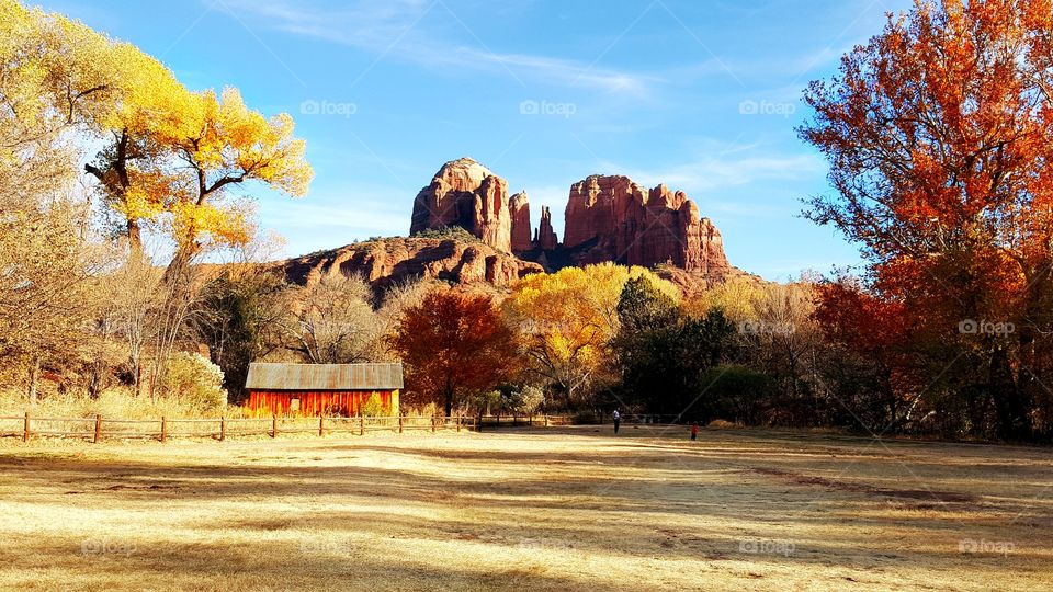 Cathedral Rock
