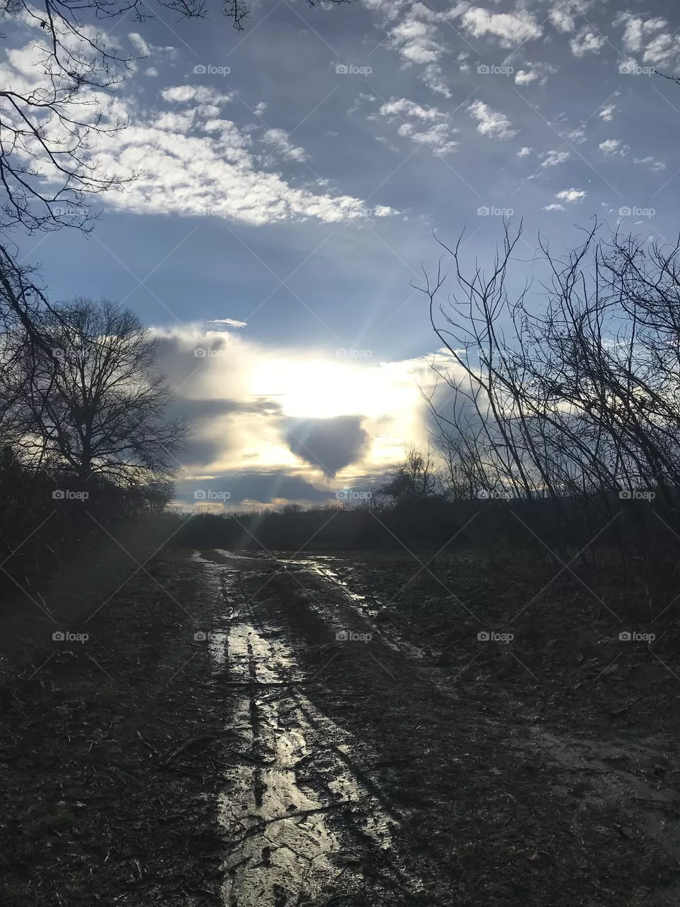 Heart in sky