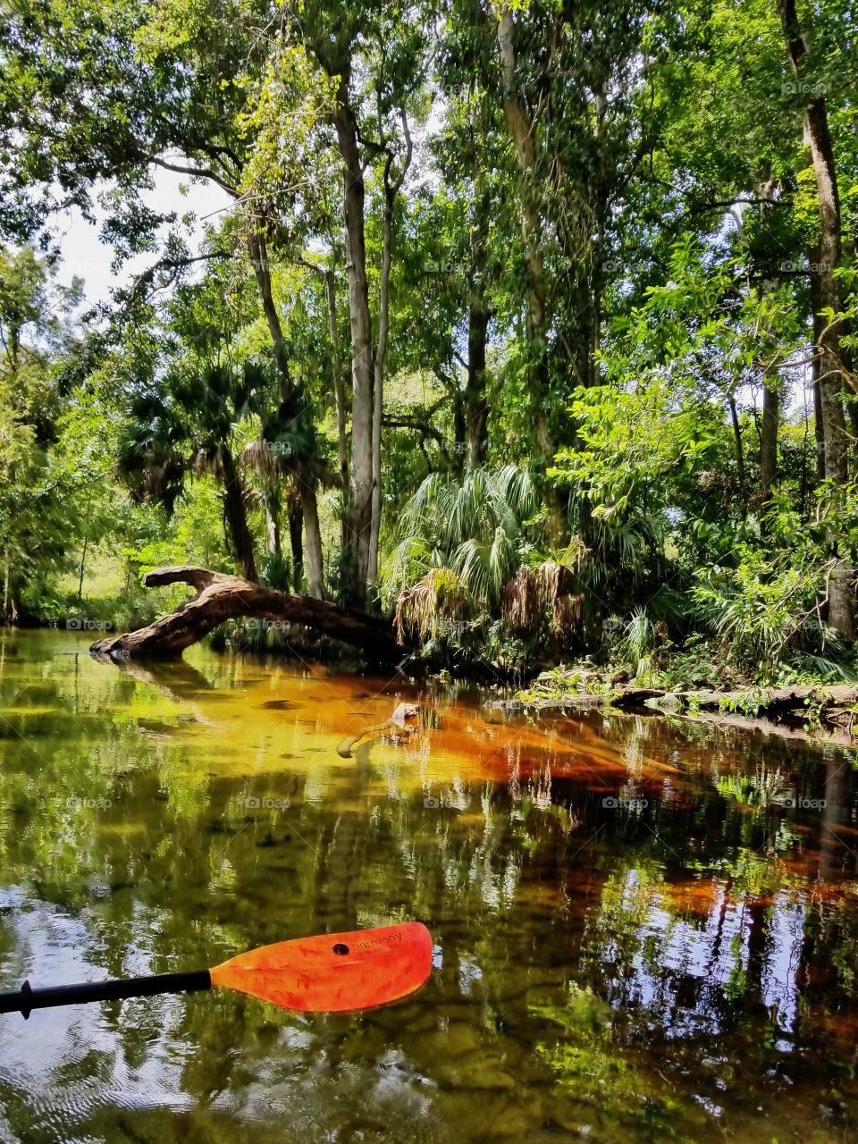 Scenic views on the river