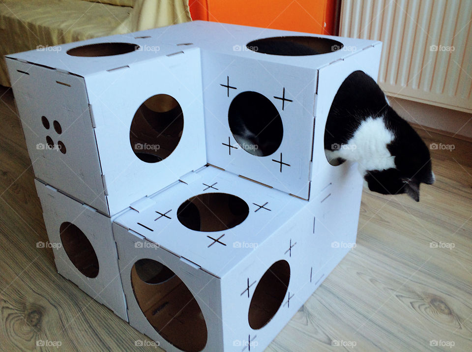 Climbing boxes for cats