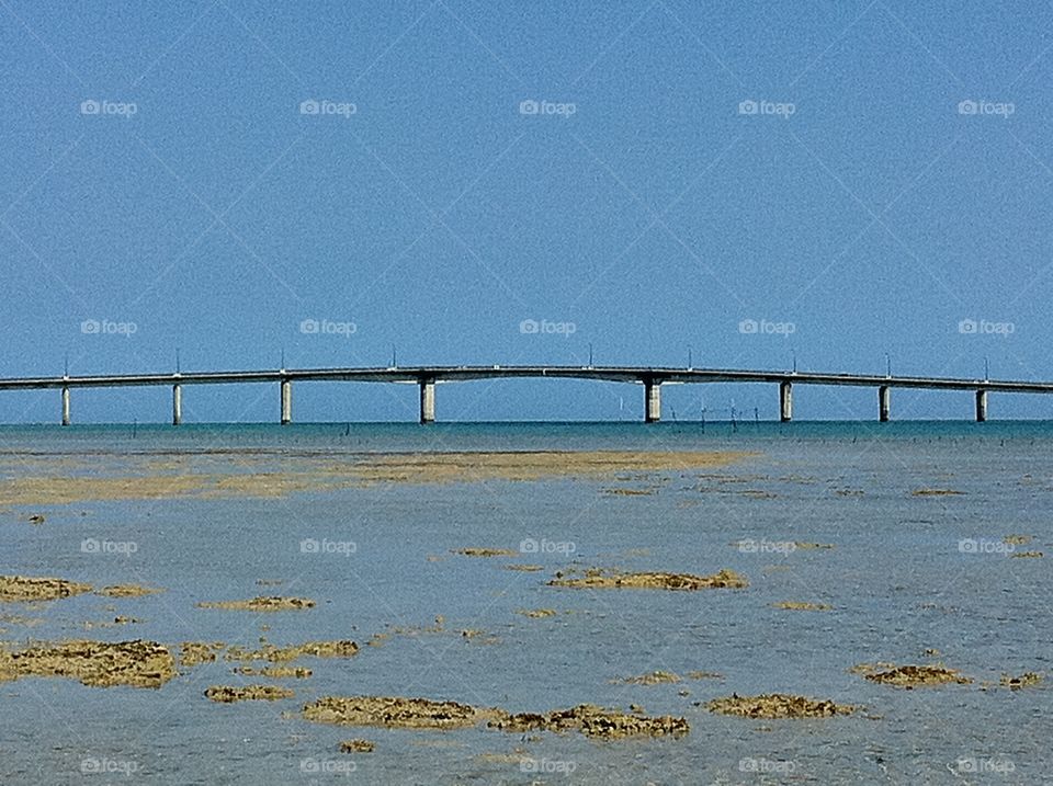 Water, Sea, Beach, Bridge, Ocean
